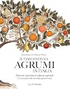 Il viaggio degli agrumi in Italia. Percorsi e curiosità di cultivar regionali. Con una parte sulla cura degli agrumi in vaso. Ediz. a colori (Giardini e paesaggio)