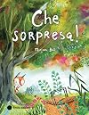 Che sorpresa! Ediz. a colori