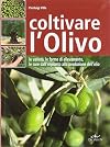 Coltivare l'olivo e produrre l'olio