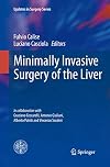 Minimally Invasive Surgery of the Liver