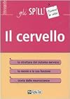 Il cervello