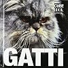 Gatti. Ediz. illustrata