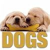 Dogs (CubeBook)