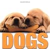 Dogs (Supercubes)
