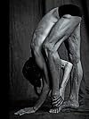 Matthew Brookes: Les Danseurs