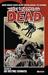 Un destino segnato. The walking dead (Vol. 28)
