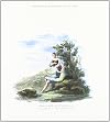 Raffaello, elementi di un mito: Le fonti, la letteratura artistica, la pittura di genere storico
