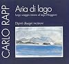 Aria di lago: lungo viaggio intorno al Lago Maggiore. Dipinti, disegni, incisioni