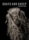 Goats and Sheep. A Portrait Farm