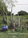 Sandi Haber Fifield: Between Planting and Picking