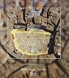 Siena al volo: la forma della cittร