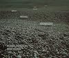 Robert Smithson: Slideworks