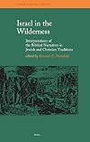Israel in the Wilderness: Interpretations of the Biblical Narratives in Jewish and Christian Traditions (Themes in Biblical Narrative)