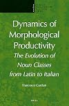 Dynamics of morphological productivity the evolution of noun classes from Latin to Italian
