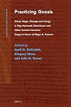 Practicing Gnosis: Ritual, Magic, Theurgy and Liturgy in Nag Hammadi, Manichaean and Other Ancient Literature. Essays in Honor of Birger A. Pearson (Nag Hammadi and Manichaean Studies)