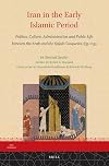 Iran in the Early Islamic Period: Politics, Culture, Administration and Public Life Between the Arab and the Seljuk Conquests, 633-1055 (Iran Studies)
