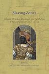 Slaving zones : cultural identities, ideologies, and institutions in the evolution of global slavery