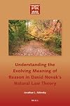 Understanding the Evolving Meaning of Reason in David Novak's Natural Law Theory (Philosophy of Religion - World Religions, 10)