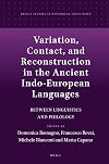 Variation, contact, and reconstruction in the ancient Indo-European languages : between linguistics and philology