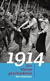 1914: een kleine geschiedenis
