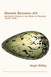 Darwin Becomes Art: Aesthetic Vision in the Wake of Darwin: 1870-1920 (Internationale Forschungen zur Allgemeinen & Vergleichenden Literaturwissenschaft)