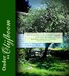 Under The Olive Tree: Italian Summer Food