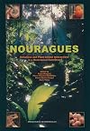 Nouragues: Dynamics and Plant-Animal Interactions in a Neotropical Rainforest (Monographiae Biologicae (80))