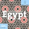 Islamic Designs from Egypt