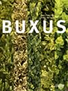 Buxus