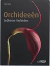 Orchideeën: sublieme verleiders