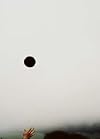 The Black Hole