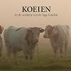 Koeien in de weiden van de Lage Landen