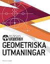 Mensas tuffaste geometriska utmaningar : kluriga tankenötter som utmanar alla hjärnans vinklar och vrår
