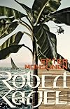 Efter monsunen (Ernst Grip #2)
