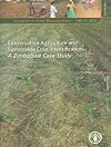 Conservation agriculture and sustainable crop intensification : a Zimbabwe case study