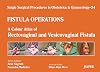 Colour Atlas of Rectovaginal and Vesicovaginal Fistula (Volume 34)