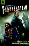 Frankenstein: The Graphic Novel (Campfire Graphic Novels)