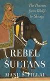 Rebels sultans: The deccan from Khilji to Shivaji