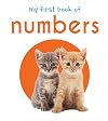 My First Book of Numbers