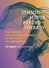 Sensorimotor psychotherapy interventies voor traumaverwerking en het herstel van gehechtheid