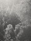 Pablo Cabado - Little Suns on Earth