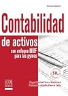 Contabilidad de activos con enfoque NIIF para las pymes