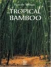 Tropical Bamboo