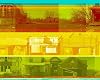 Urban Ecology: Detroit and Beyond
