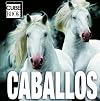Caballos: Horses