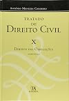 TRATADO DE DIREITO CIVIL - VOLUME X - Direito das Obrigações: Garantias