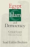 Egypt Islam and Democracy: Critical Essays
