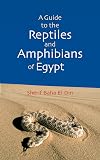 A Guide to Reptiles & Amphibians of Egypt