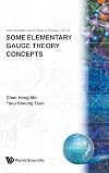 Some Elementary Gauge Theory Concepts