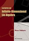 Lectures on Infinite Dimensional Lie Algebra
